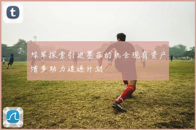 绿军探索引进墨菲的机会现有资产增多助力追逐计划